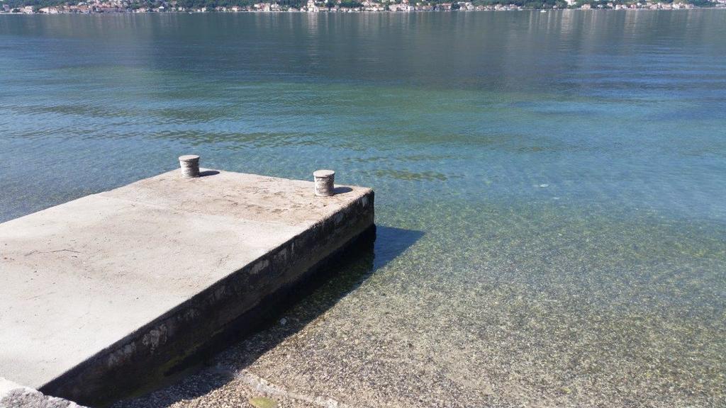 Villa Branka Kotor Dış mekan fotoğraf